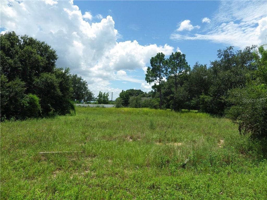 Holly Hill Grove Rd., Davenport, FL 33837