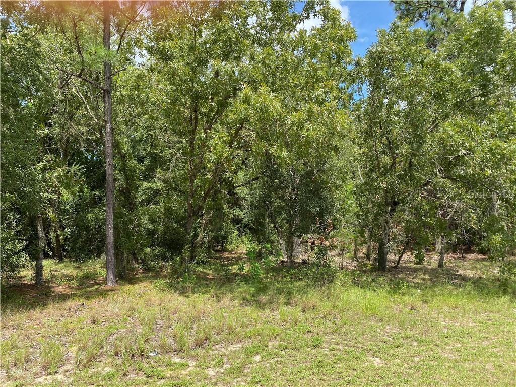 10 Bahia Circle Way, Ocala, FL 34472