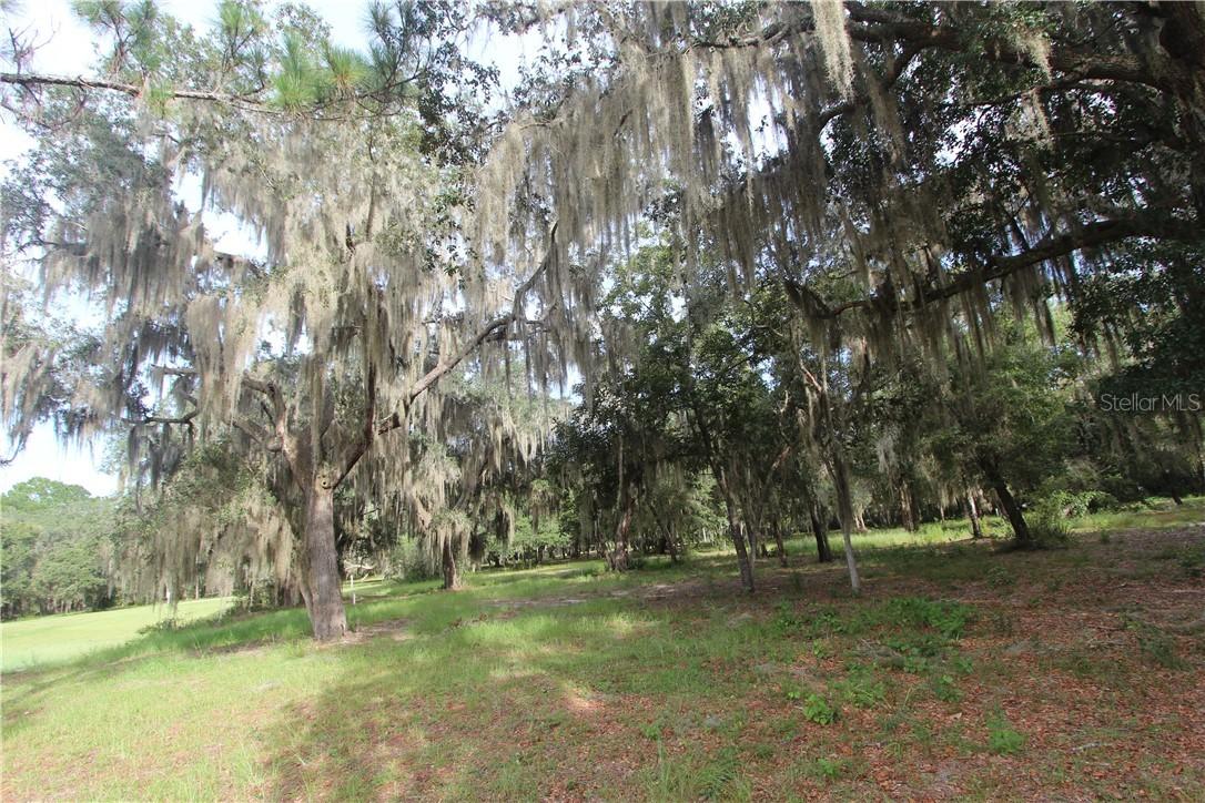 Big Pine Island Dr., Lady Lake, FL 32159