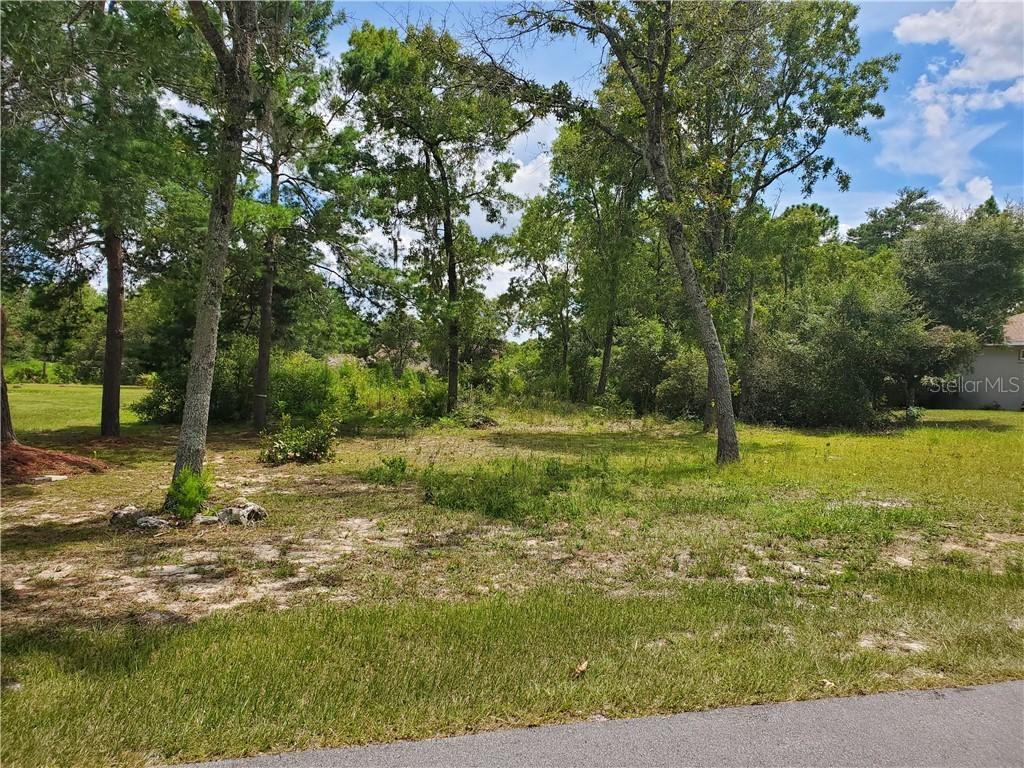 0000 SW 109 Loop, Ocala, FL 34476