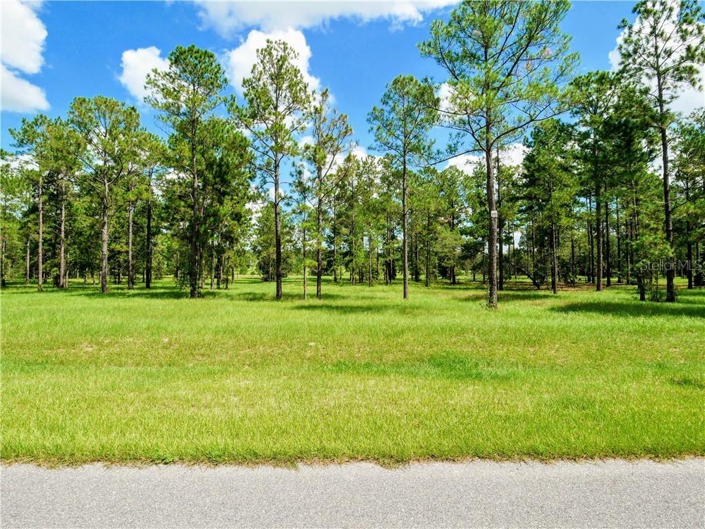 24031 Greenwood Crossing, Eustis, FL 32736