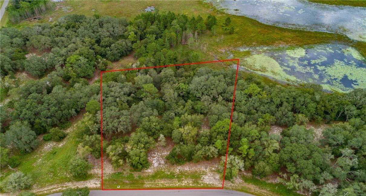 3138 Bright Lake Cir., Leesburg, FL 34748