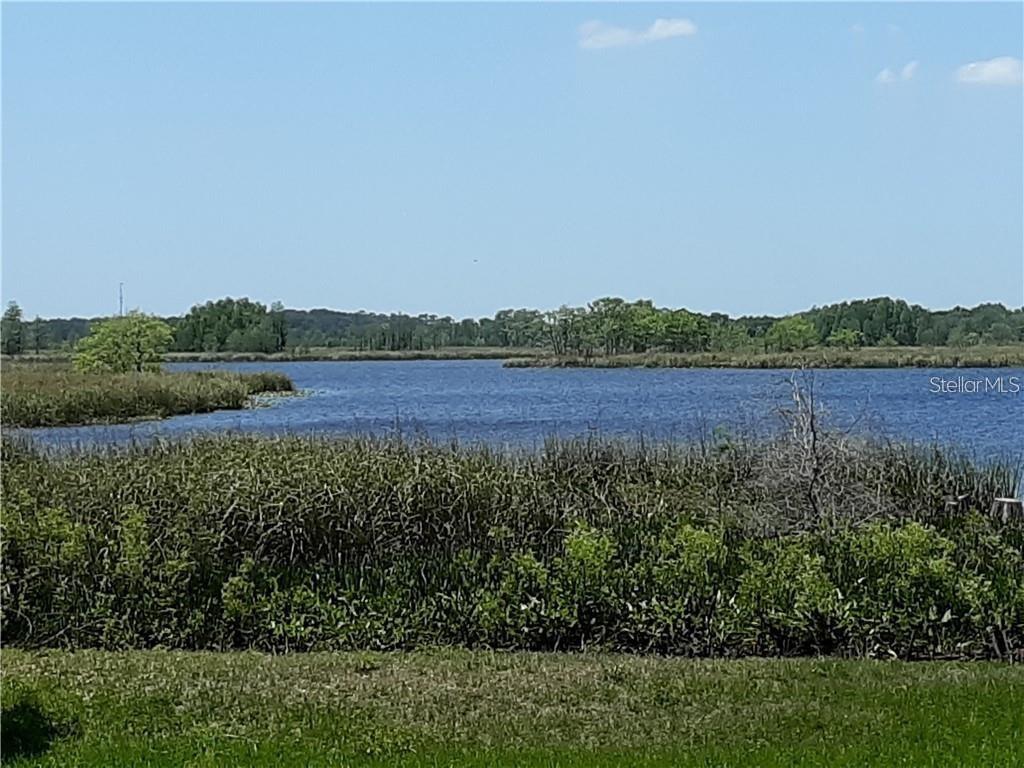 Royal Palm Dr., Groveland, FL 34736