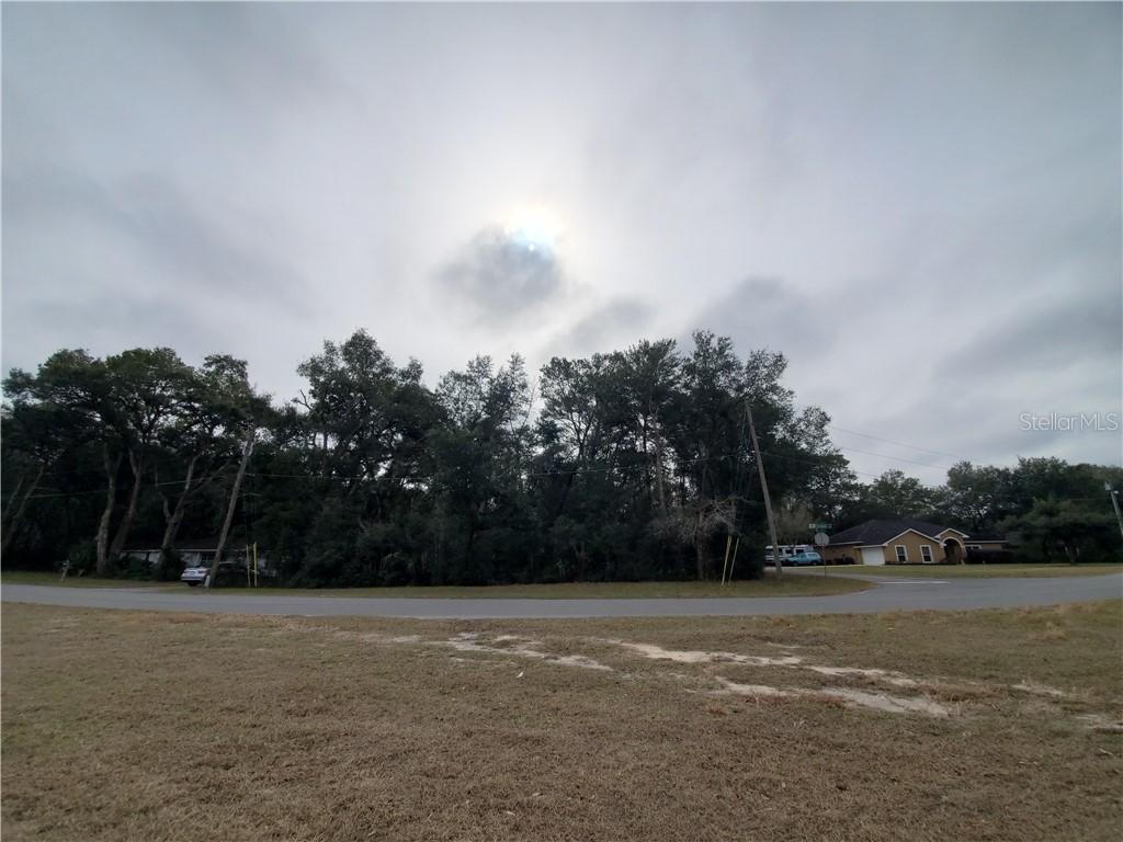 Prestwick Ave., Mount Plymouth, FL 32776