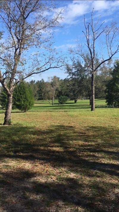 22808 Yonge Rd., Eustis, FL 32736