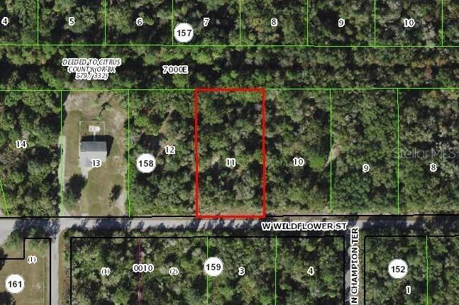 12077 W Wildflower St., Crystal River, FL 34428