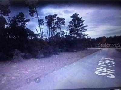 SW 171 St., Ocala, FL 34473