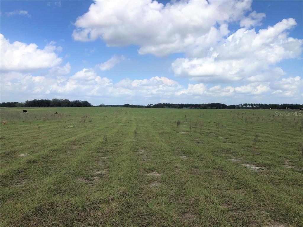 [Address Hidden by Seller], Clermont, FL 34711
