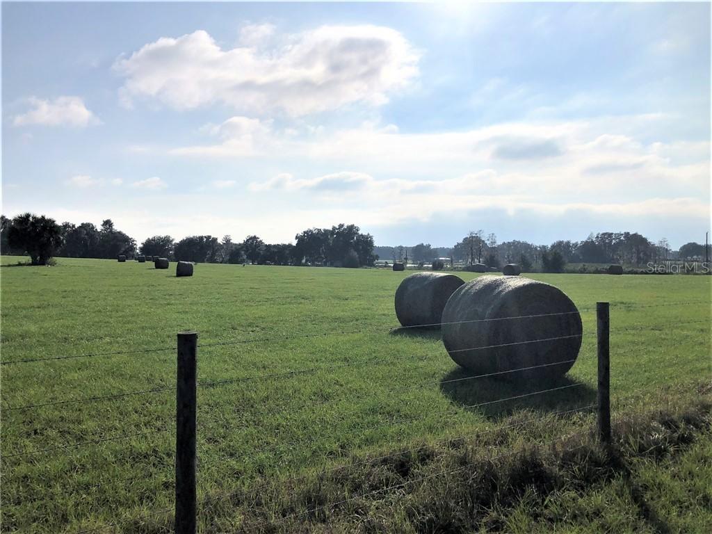 7600 Pine Island Rd., Clermont, FL 34711