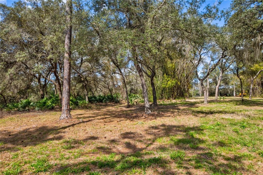 39925 Forest Dr., Eustis, FL 32736