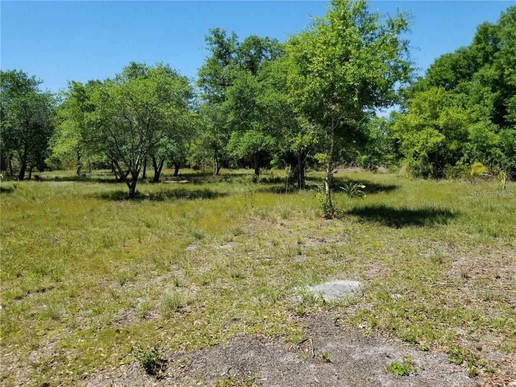 2464 SW Kleis Dr., Arcadia, FL 34266