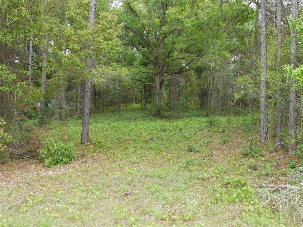 7047 Norne Ln., Mount Dora, FL 32757