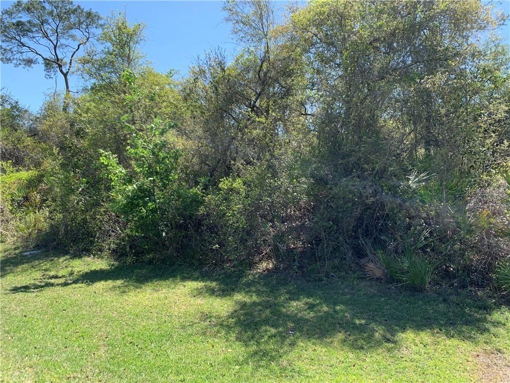 Nfs 573, Altoona, FL 32702