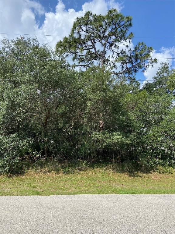 320 Michigan Ln., Poinciana, FL 34759