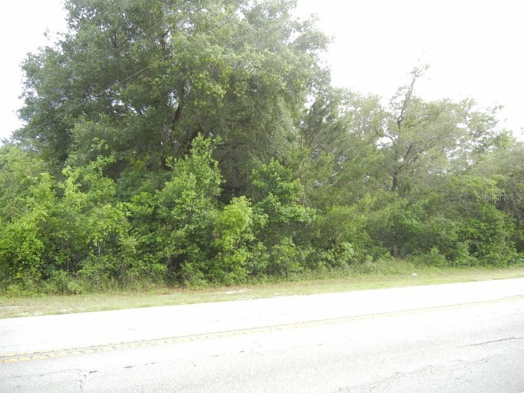 County Road 44a, Eustis, FL 32736
