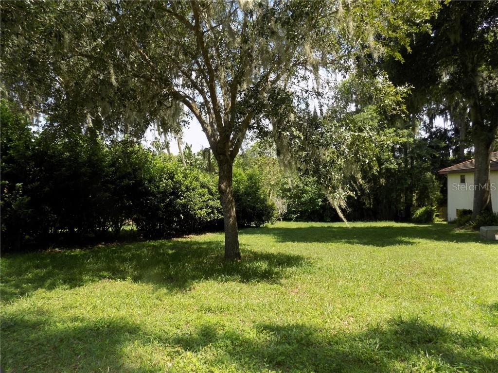 Forest Ln., Eustis, FL 32726