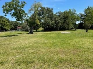 Palm Ave., Winter Garden, FL 34787