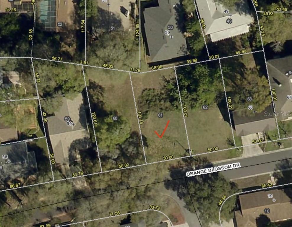 Orange Blossom Dr., Eustis, FL 32726