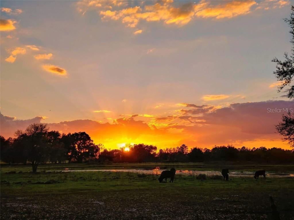 County Road 48, Groveland, FL 34736