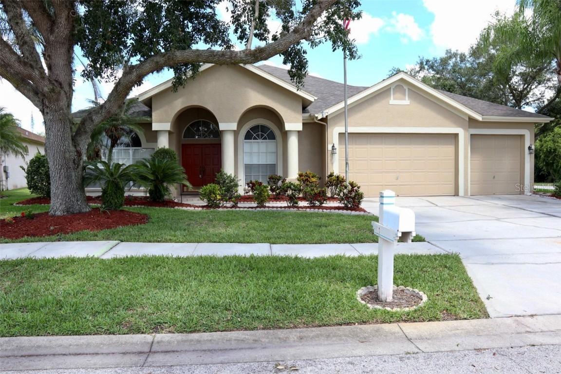 28508 Hanging Moss Loop, Wesley Chapel, FL 33543