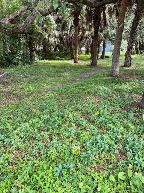 1909 E Bates Ave., Eustis, FL 32726