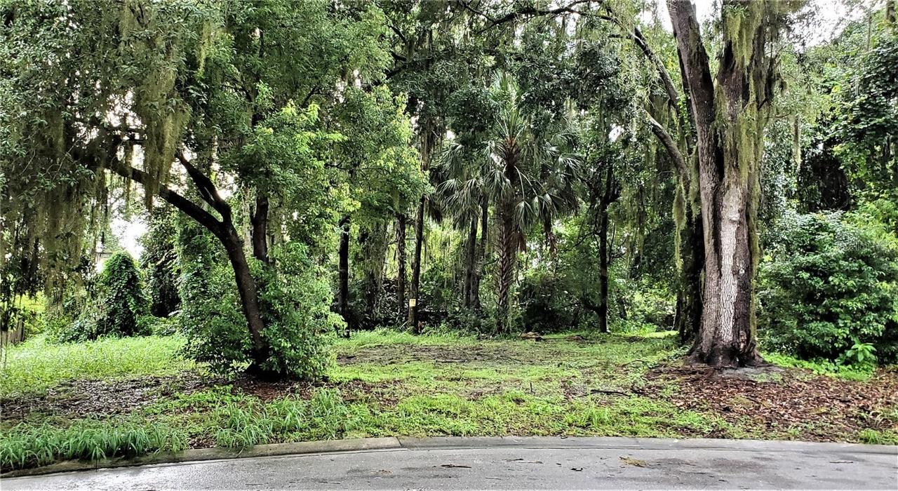 0000 Oak Leaf Cir., Mount Dora, FL 32757