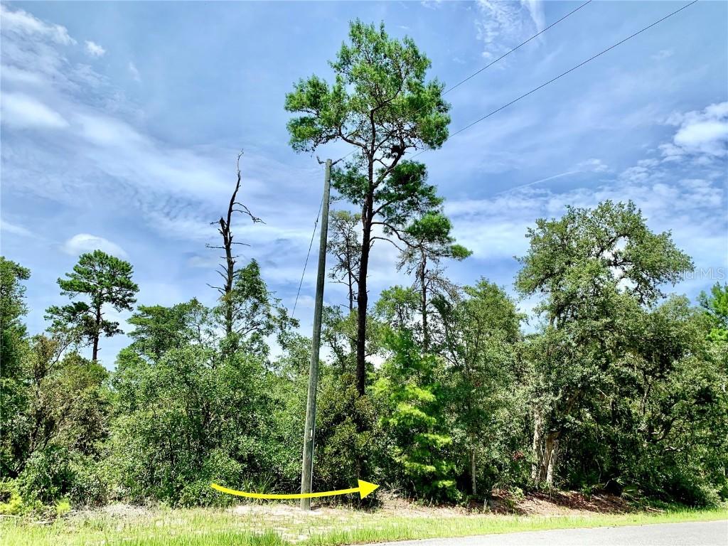 Lot 6 Nutmeg Ave., Eustis, FL 32736