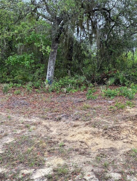 Sw 176th Loop, Ocala, FL 34473