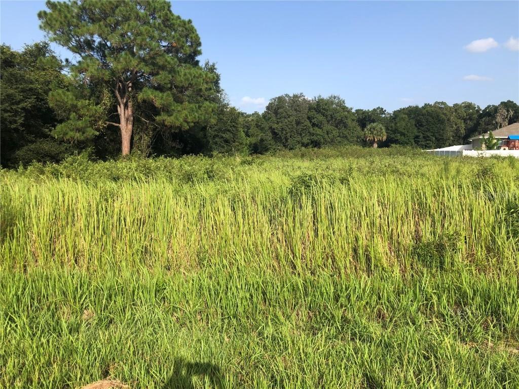 Lot 23 Oak Lane Loop, Ocala, FL 34472