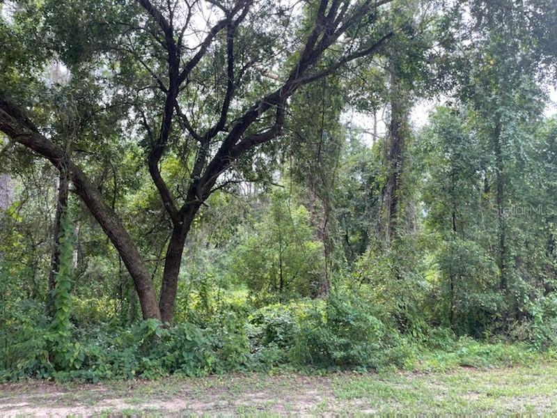 Beverly Dr., Groveland, FL 34736