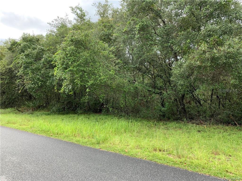 lot 8 SW 166th Place Rd., Ocala, FL 34473