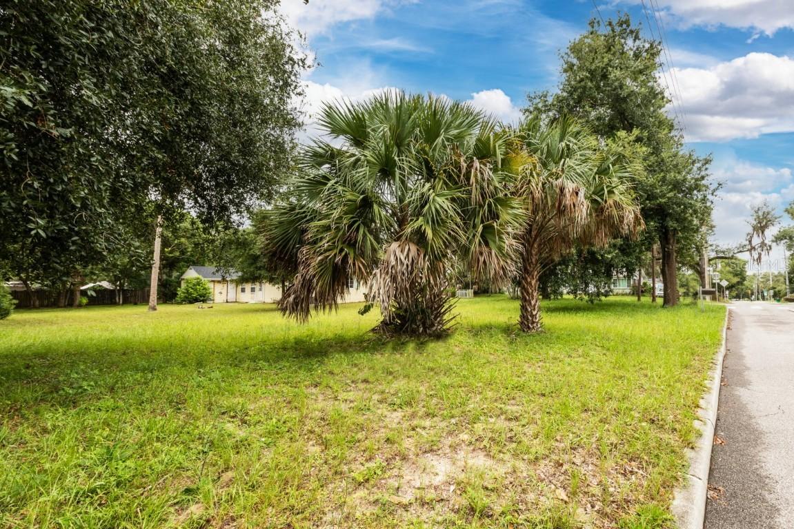 N Tremain St., Mount Dora, FL 32757