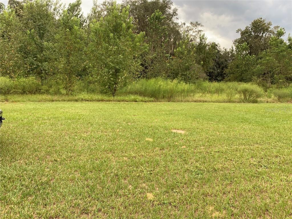 Honeycut Rd., Groveland, FL 34736