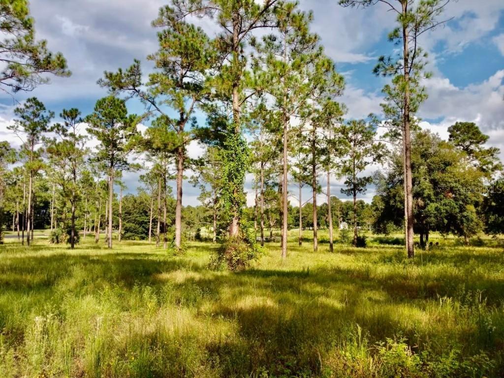 Bright Lake Cir., Groveland, FL 34736