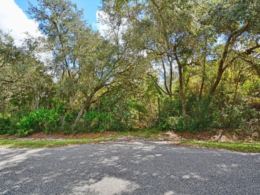 39128 Forest Dr., Eustis, FL 32726