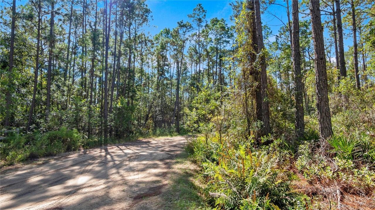 Kijik Tr., Groveland, FL 34736