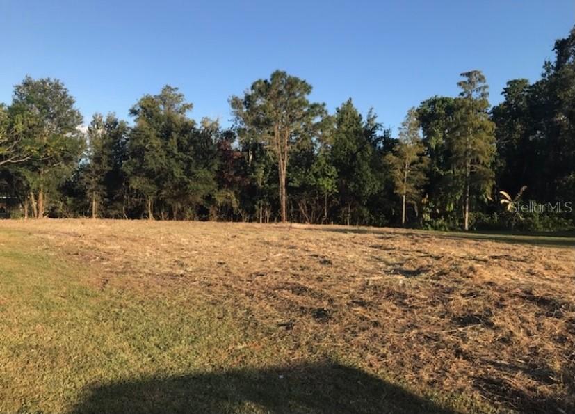 Toledo Ct., Kissimmee, FL 34758