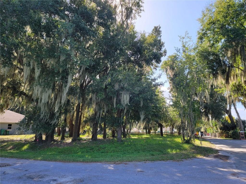 LOT 1 Meadowside Dr., Eustis, FL 32726