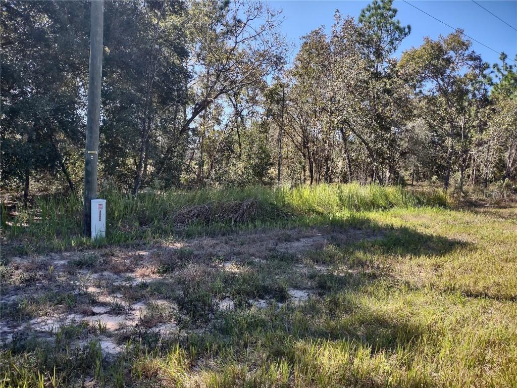 Locust Road, Ocala, FL 34472