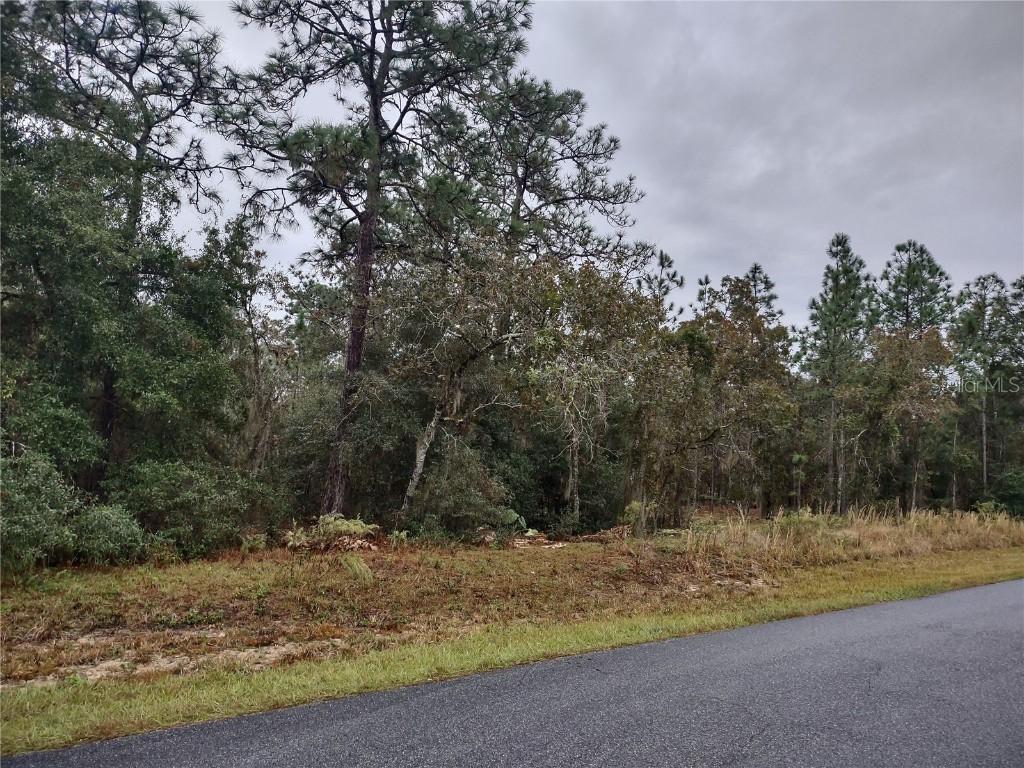 SE Locust Ps Pass, Ocala, FL 34472