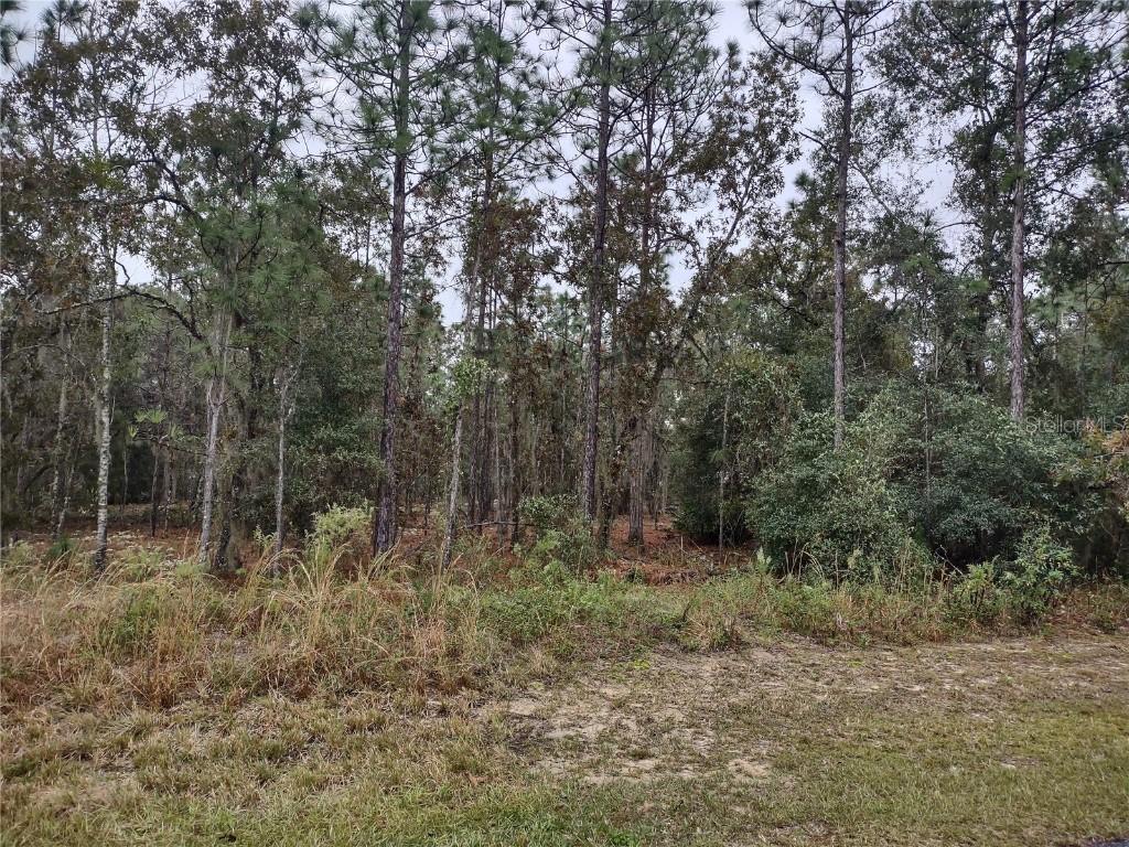 Locust Lane, Ocala, FL 34472