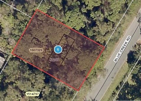 Blue Creek Rd., Astor, FL 32102