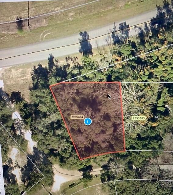 Basin St., Clermont, FL 34715