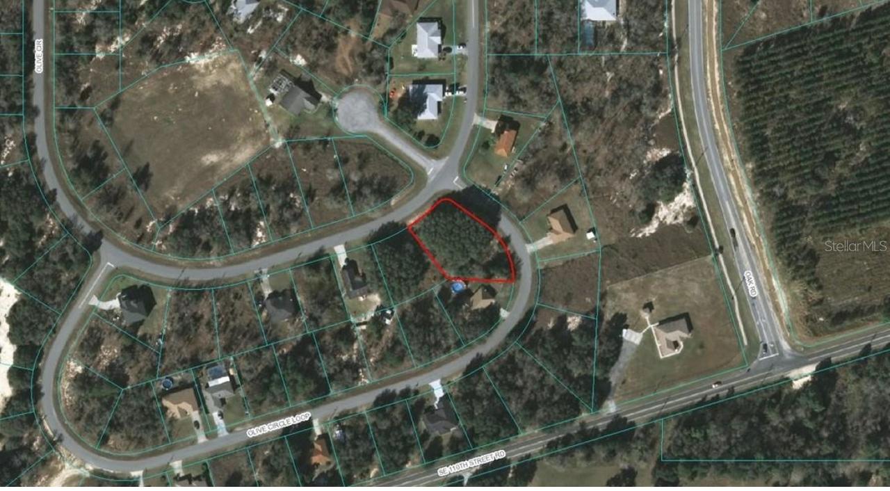Olive Circle Loop, Ocala, FL 34472