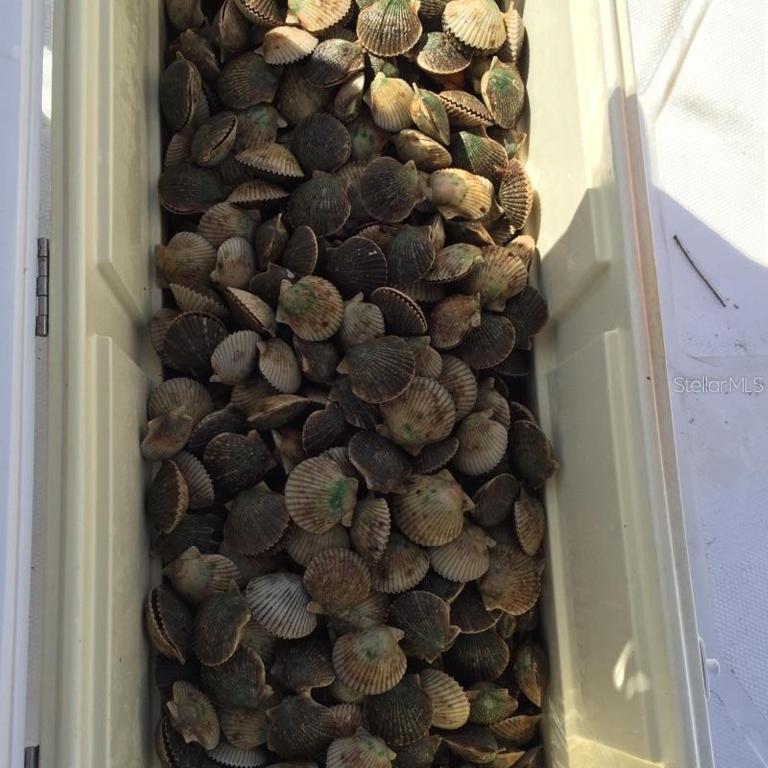 0000 NW 19th St., Crystal River, FL 34428