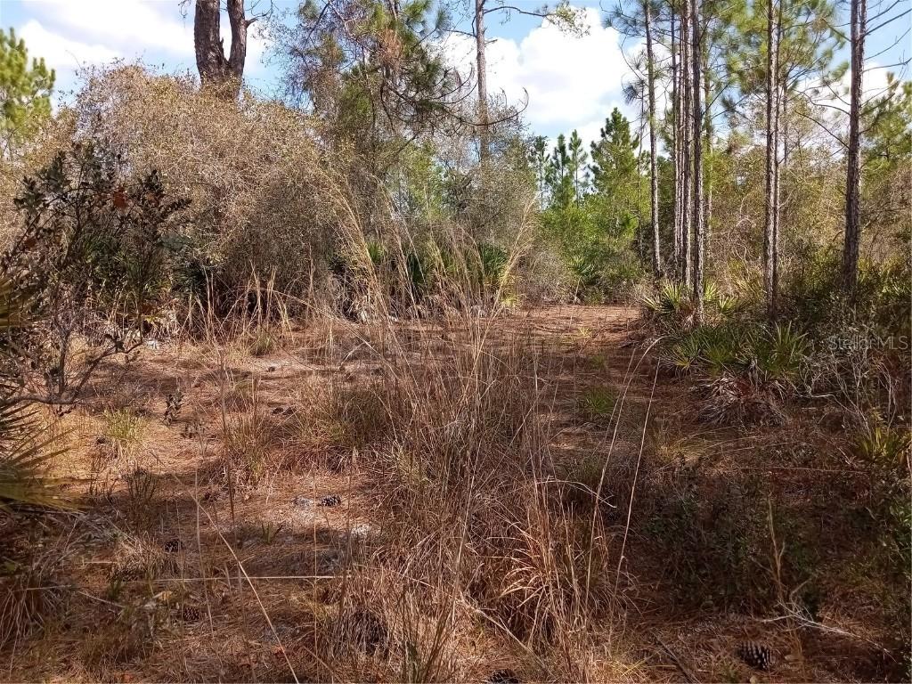 3301 Salyers Rd., Clermont, FL 34714