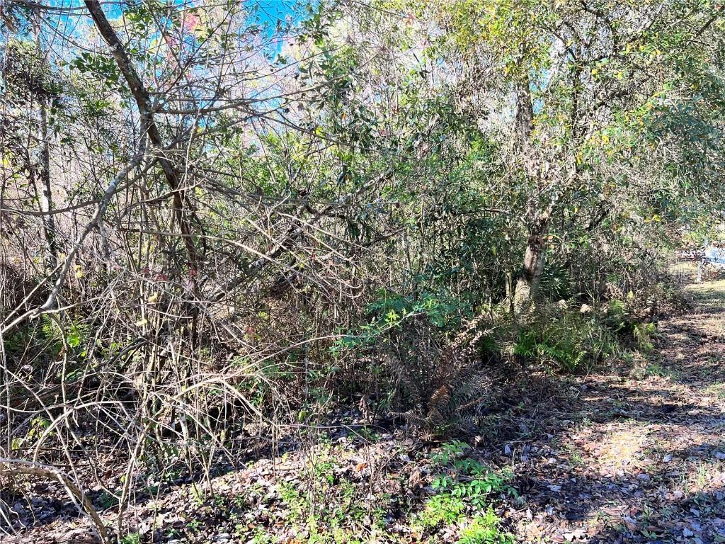 Sweetwater Tr., Kissimmee, FL 34747