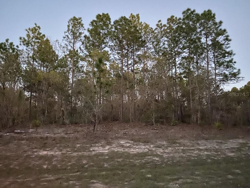 Sw 154th Lane Rd., Ocala, FL 34473