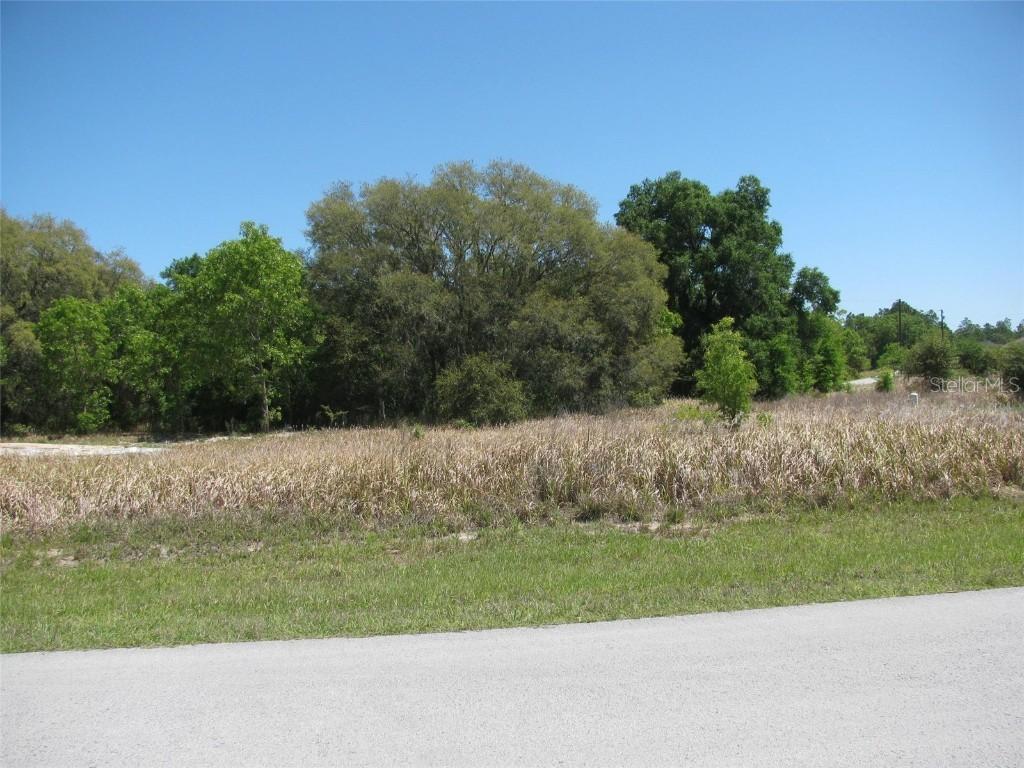 TBD Locust Pass Dr., Ocala, FL 34472