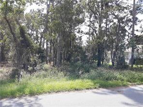 Pecan Drive Pass, Ocala, FL 34472